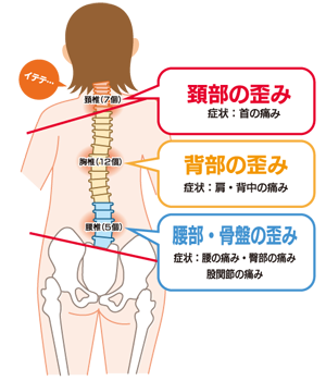 健康には正しい姿勢が必要