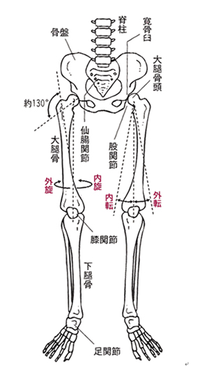 礒谷式力学療法